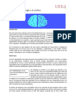 Modulo 1 Tec Braindocx