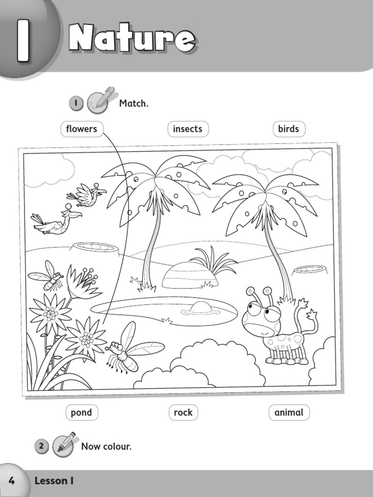 Nature Lessons for Young Learners | PDF | Organisms | Nature