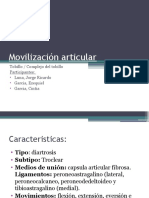 PDF Mov. Tobillo