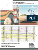PRAKTIKUM GEOLOGI MINYAK DAN GAS BUMI 2021