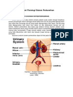 Sistem Perkemihan