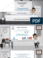 Fundamentos de Cromatografia de Gases 2021, Ing. Claudia Hernández A.