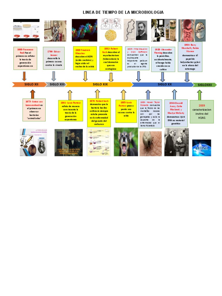 Linea de Tiempo de La Microbiologia | PDF | Microbiología | Luis Pasteur