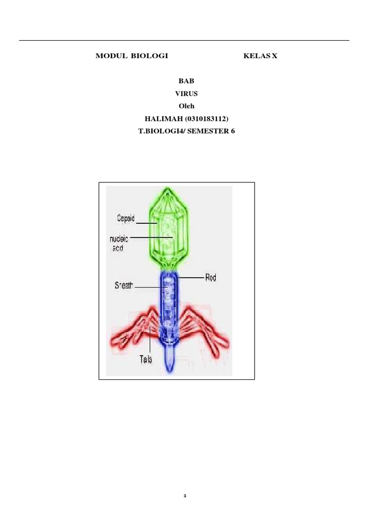 Halimah 0310183112 T Biologi4 Bahan Ajar Virus Compressed Pdf