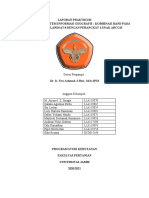 Laporan Praktikum Geomatika