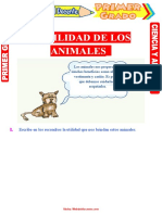 Utilidad de Los Animales para Primer Grado de Primaria