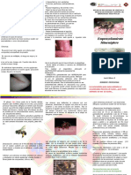 TRIPTICO EMPONZOÑAMIENTO HEMINOPTERO (1)