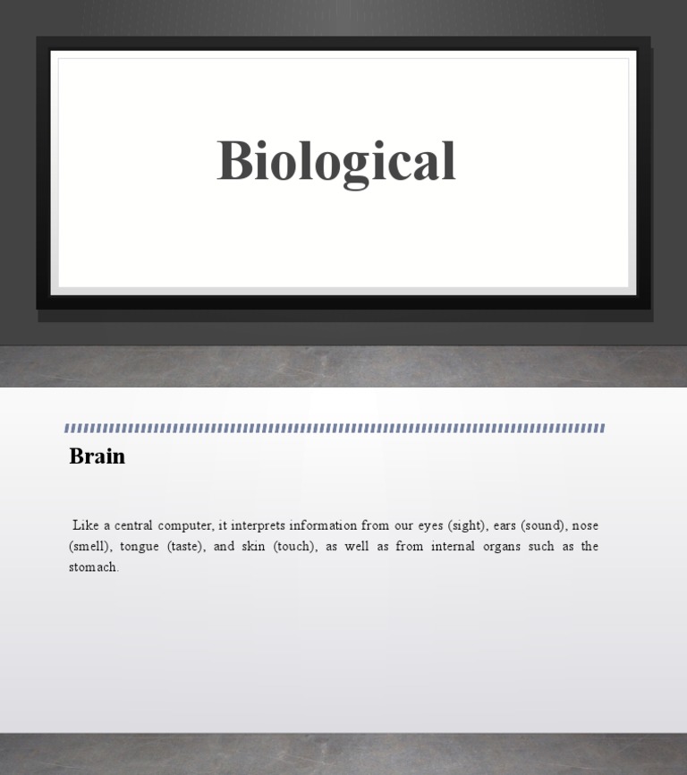 Lecture 3 | PDF | Career & Growth | Language Arts & Discipline
