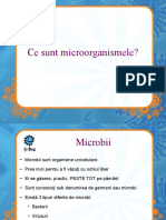 Senior Introduction to Microbes RO