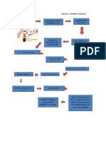 Diagrama de Flujo Ast Carlos A