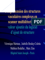 Compréhension Des Structures Vasculaires Complexes en Scanner Multidétecteur Valeur Ajoutée Du Logiciel D'ajout de Structure