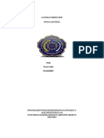 Format Literatur Review Early Exposure - Nurul Alfiatuz - 1911020090