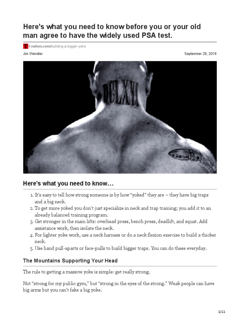 TNation Yoke Training PDF