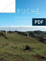 Introducción Al Pueblo Mapuche