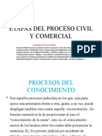 Etapas Del Proceso Civil y Comercial