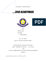 PDF Nervus Olfaktorius