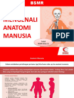 Materi BSMR - Anatomi Manusia