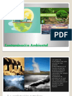 Contaminación Ambiental1.2