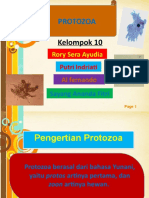 Protozoa Singkat Tapi Kuat