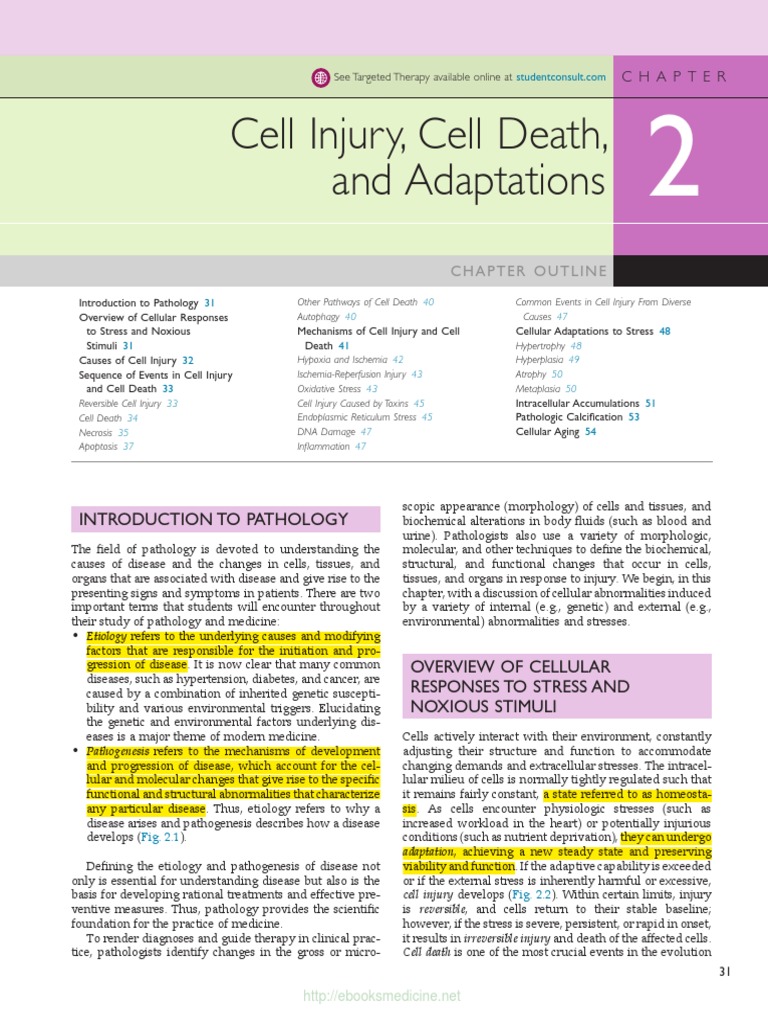 Cell Injury, Cell Death, and Adaptations: An Introduction to the Common ...