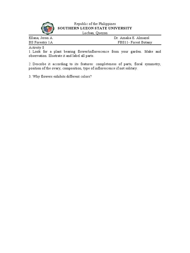 Activity 8 | PDF