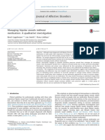 cappleman2015_Managing bipolarmoodswithout medication- Aqualitativeinvestigation