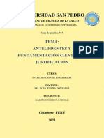 Practica N°5 Investigación PDF