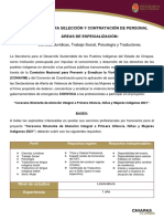 Convocatoria para Selección Y Contratación de Personal Áreas de Especialización