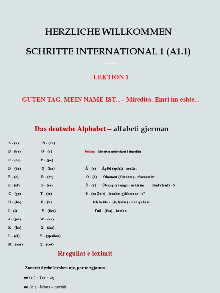 Schritte1 Lektion1 Pdf
