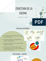 Estructura Enzimática - Luciana Morán