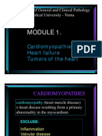 EL CP 35 - Cardiomyopathies