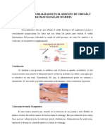 Procedimientos Realizados en El Servicio y Sala de Operaciones