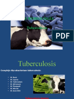 Tuberculosis y Brucelosis