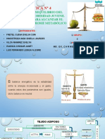 Practica N 04 Bioquimica 2