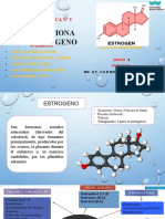 Práctica Nº 5 Hormona Estrogeno