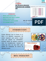 Beta Oxidaciòn de Àcidos Grasos Insaturados y Saturados de Cadena Par (Bioquimica) Grupo 2