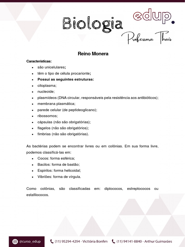 Características e Importância das Bactérias | PDF | Bactérias | Biologia