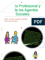 Espacio Profesional y Rol de Los Agentes Sociales
