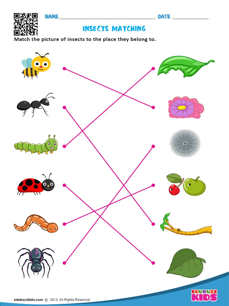A Match Insects | PDF