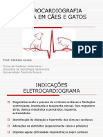 6 Eletrocardiografia