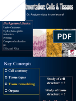 Chapter 3 Cells Tissues