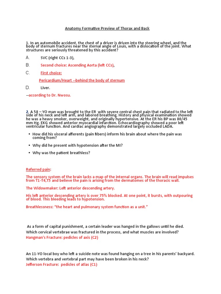 Anatomy Formative Preview of Thorax and Back | PDF | Aorta | Thorax