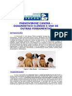 Parvovirose Canina Diagnostico Clinico e Uso de Outras Ferramentas