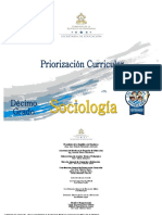 10_Priorizacion_Curricular_-Sociologia