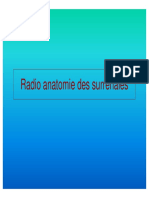 Radio Anatomie Surrénale