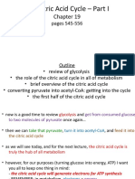 14_Citric Acid Cycle pt. I