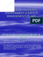 Petroleum Property, Environment & Safety MANAGEMENT (PE-407)