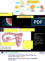 To Know How Gametes Are Specialised Cells Adapted For A Particular Function To Know What Fertilisation Is and Where It Occurs