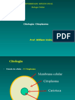 Citologia - Citoplasma e Citoesqueleto