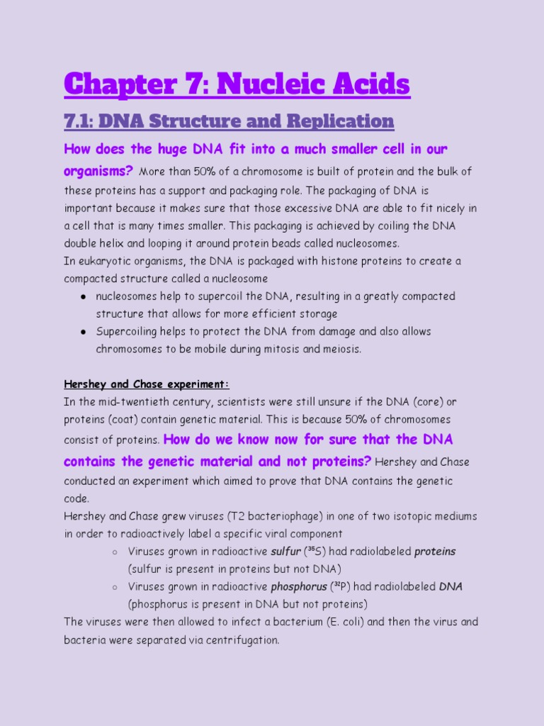 Chapter 7: Nucleic Acids: 7.1: DNA Structure and Replication | PDF ...